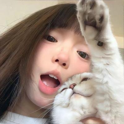 犯罪生涯